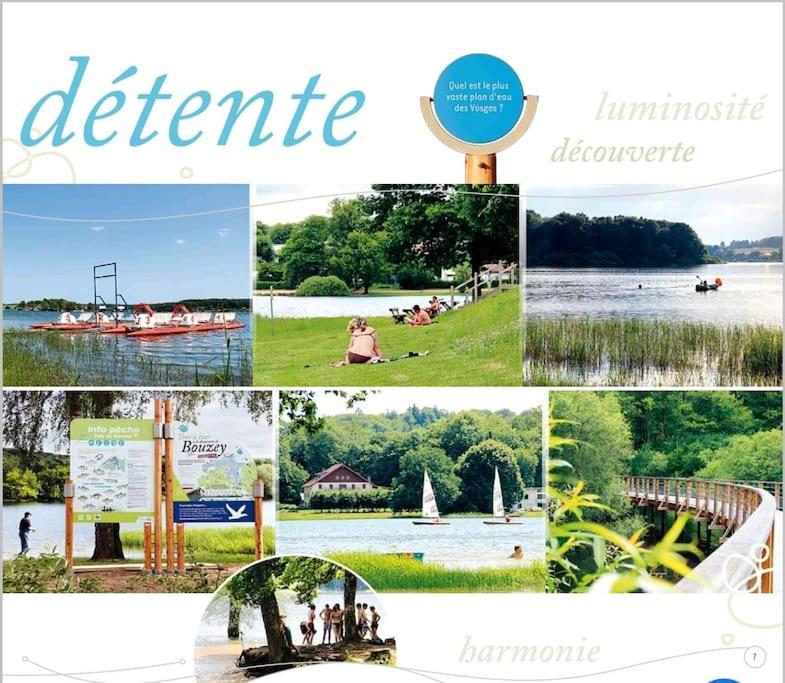 Appartement 2 Pieces Pres Du Lac De Bouzey Sanchey ภายนอก รูปภาพ